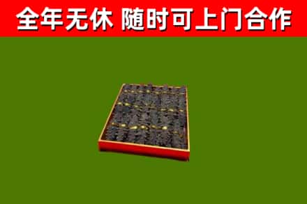 青阳回收海参
